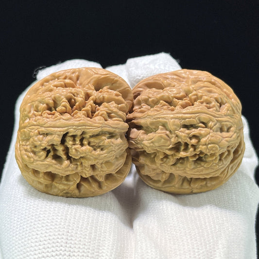 The "Thick Vein" (Cu Jin) Balanced Giant Pair | 40.0mm x 39.0mm | CJ-811 - ThePatinaProject