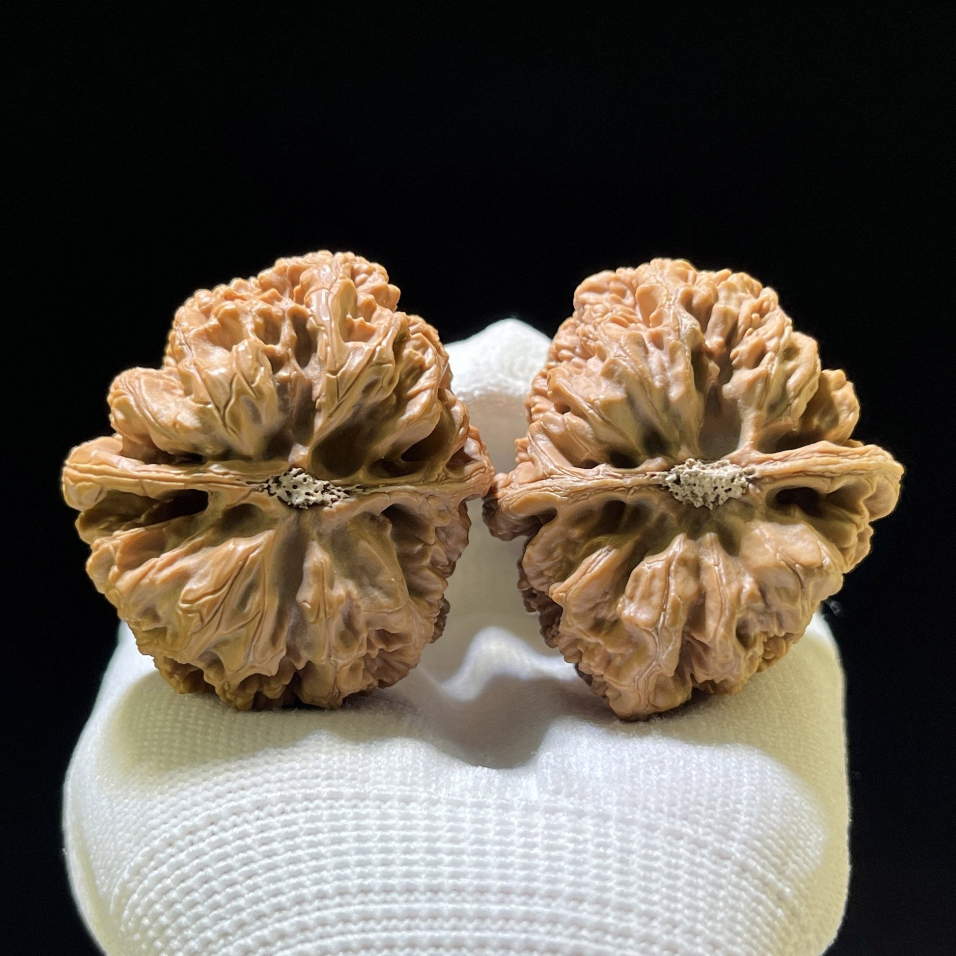 The "Thick Vein" (Da Cu Jin) Colossal Deep-Bellied Giant | 44.0mm x 48.0mm | DCJ-901 - ThePatinaProject