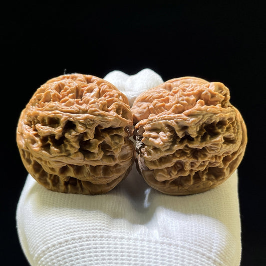 The "Thick Vein" (Da Cu Jin) Colossal Deep-Bellied Giant | 44.0mm x 48.0mm | DCJ-901 - ThePatinaProject