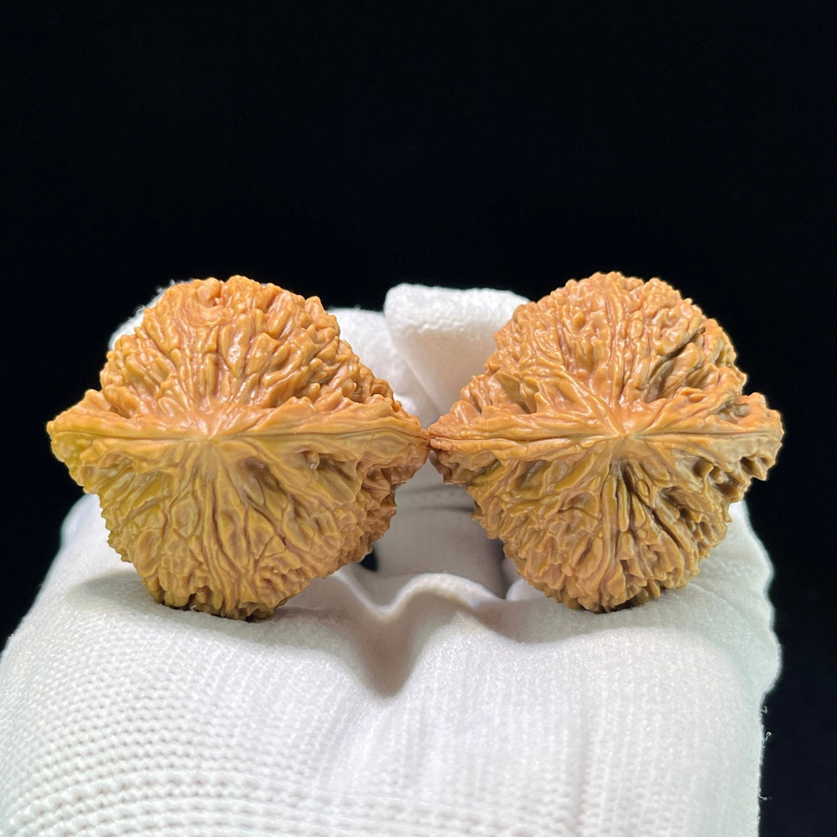 The "Three-Ribbed Mercedes" Nanjiangshi (NJS) Triangular Stance Pair | 40.0mm x 38.0mm | NJS-1007 - ThePatinaProject