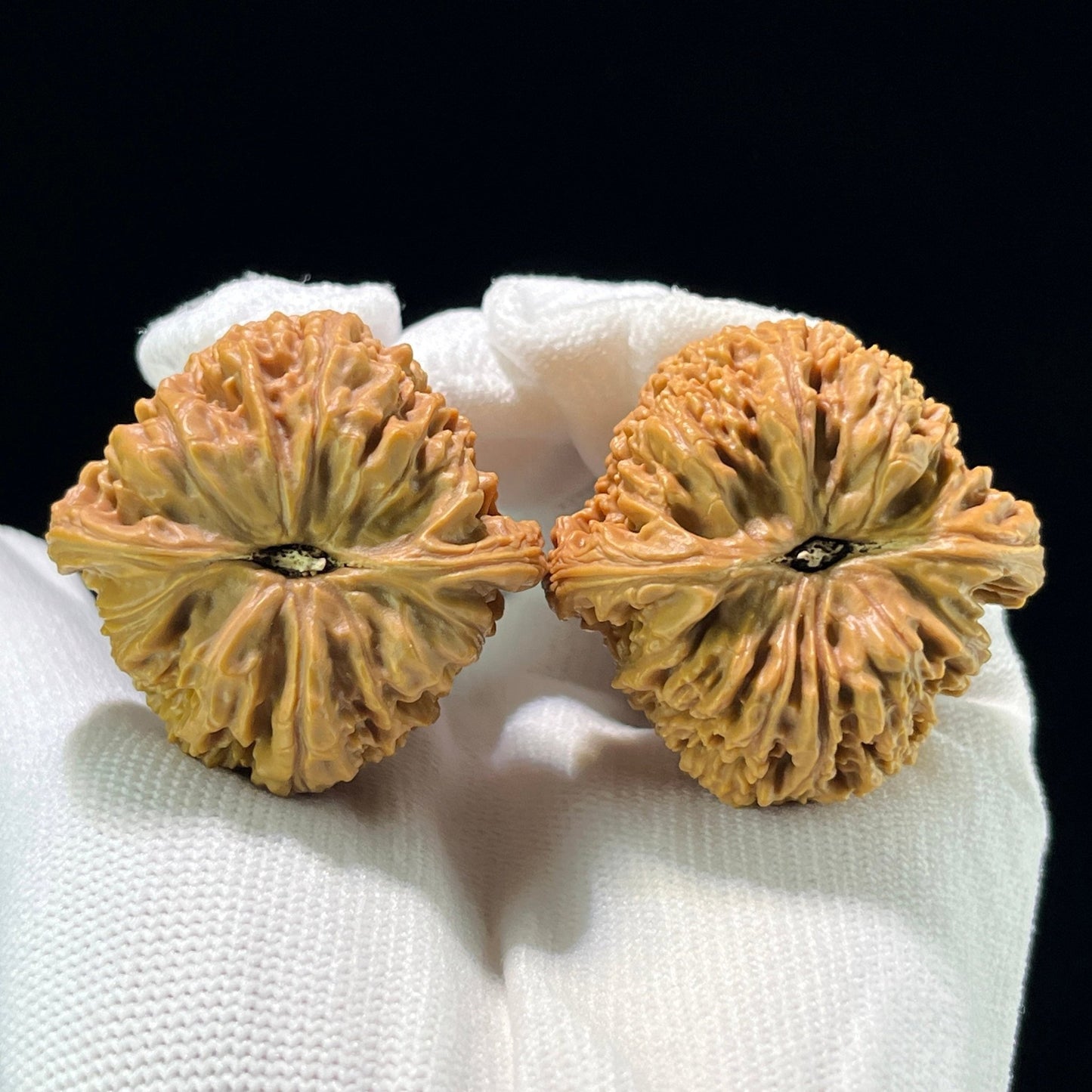 The "Three-Ribbed Mercedes" Nanjiangshi (NJS) Triangular Stance Pair | 40.0mm x 40.0mm | NJS-808 - ThePatinaProject