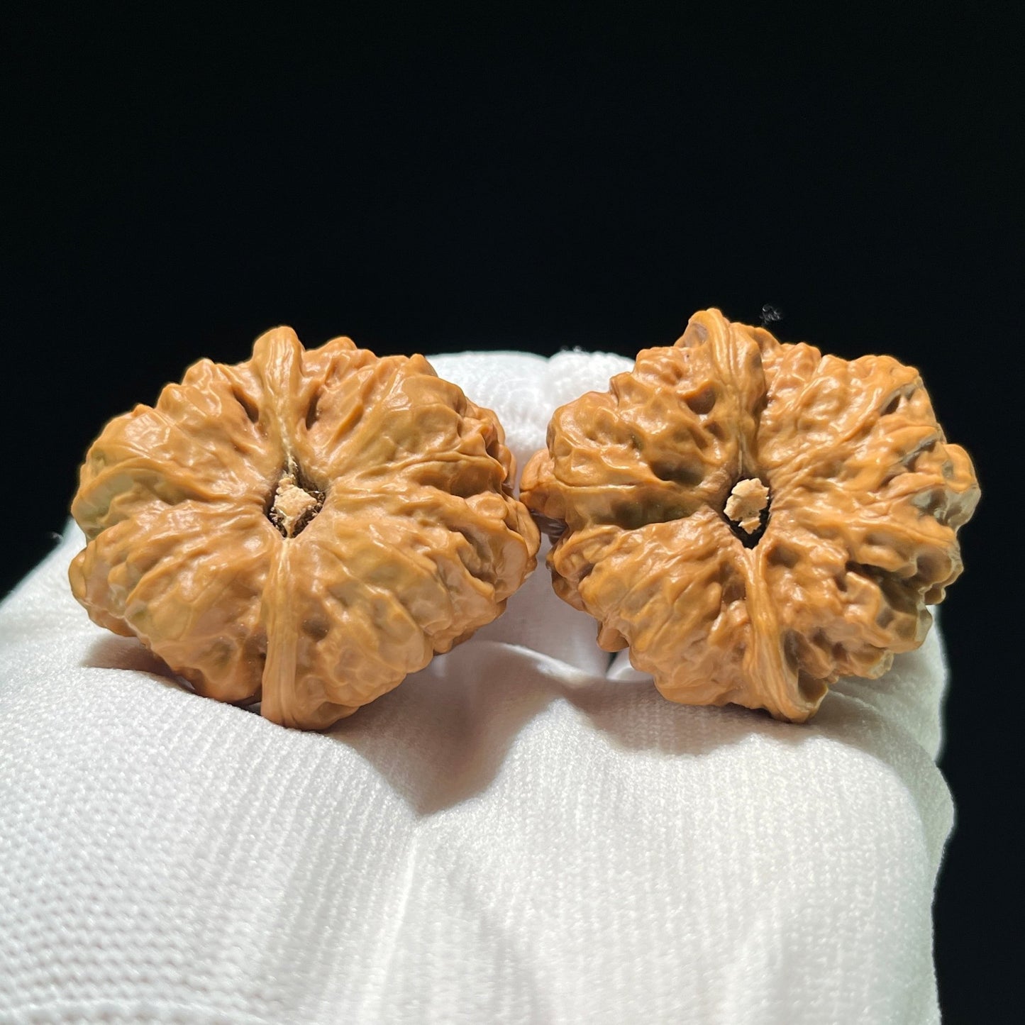 The "Toad Head" (Ha Ma Tou) Full-Belly Pair | 38.0mm x 41.0mm | W-812 - ThePatinaProject
