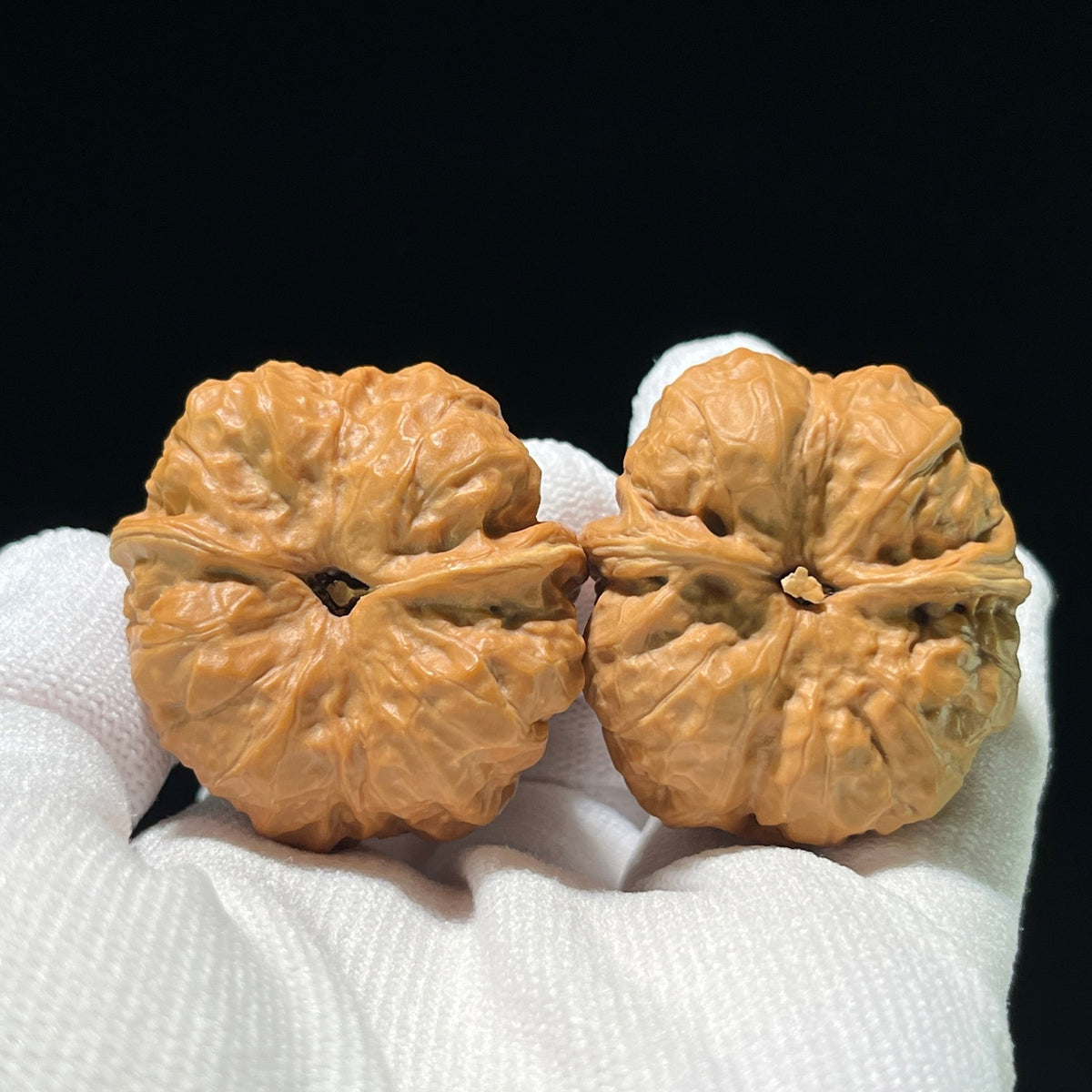 The "Toad Head" (Ha Ma Tou) Pair | 36.0mm x 38.0mm | W-811 - ThePatinaProject