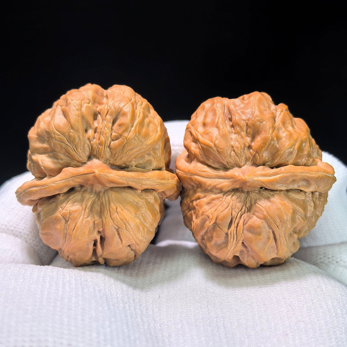 The "Toad Head" (Ha Ma Tou) Pair | 36.0mm x 39.0mm | HMT-404 - ThePatinaProject