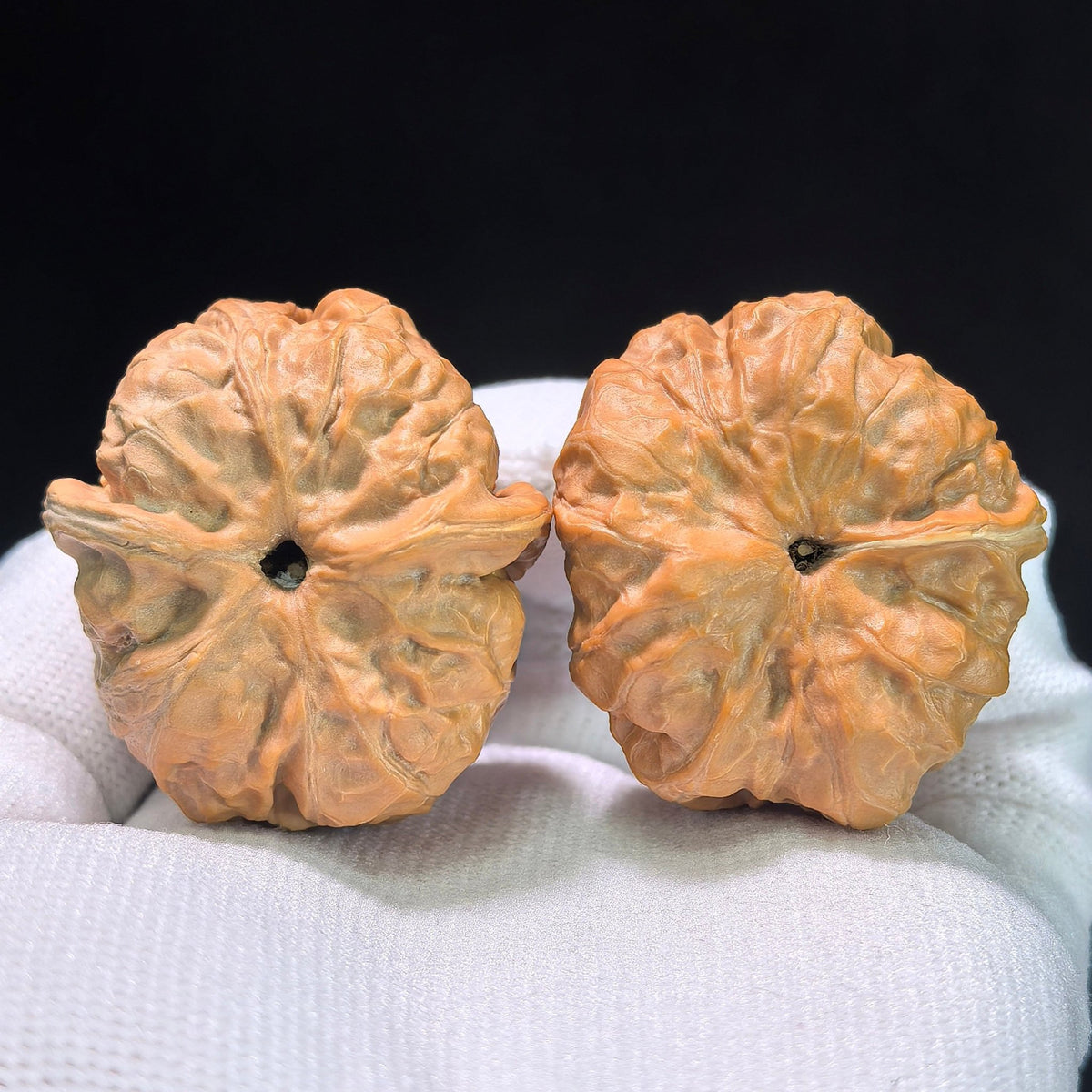 The "Toad Head" (Ha Ma Tou) Pair | 36.0mm x 39.0mm | HMT-404 - ThePatinaProject