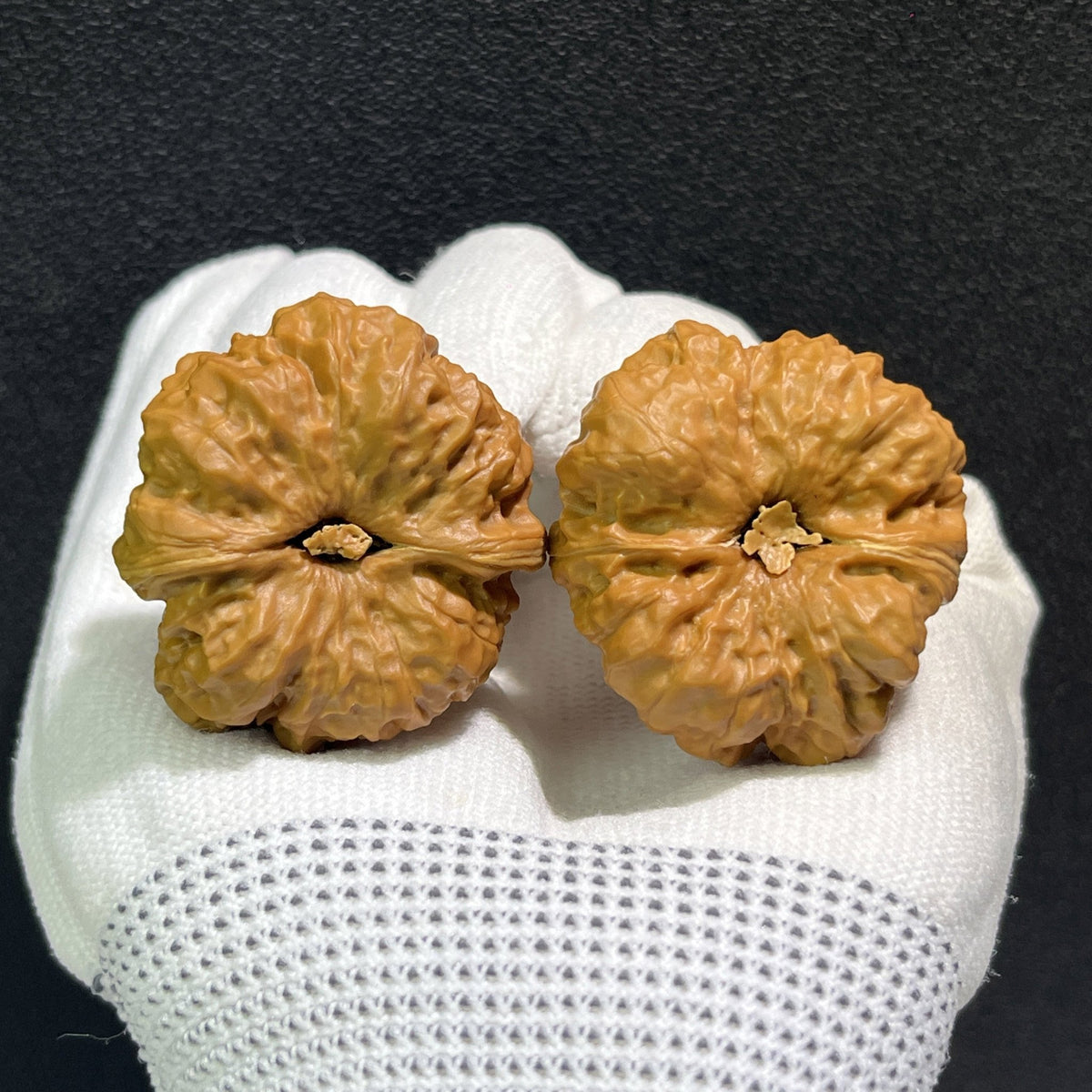 The "Toad Head" (Ha Ma Tou) Pair | 36.0mm x 39.0mm | HMT-405 - ThePatinaProject