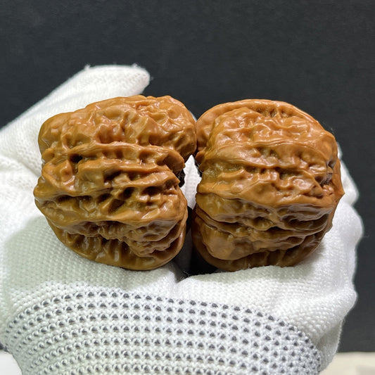 The "Toad Head" (Ha Ma Tou) Pair | 37.0mm x 39.0mm | HMT-406 - ThePatinaProject
