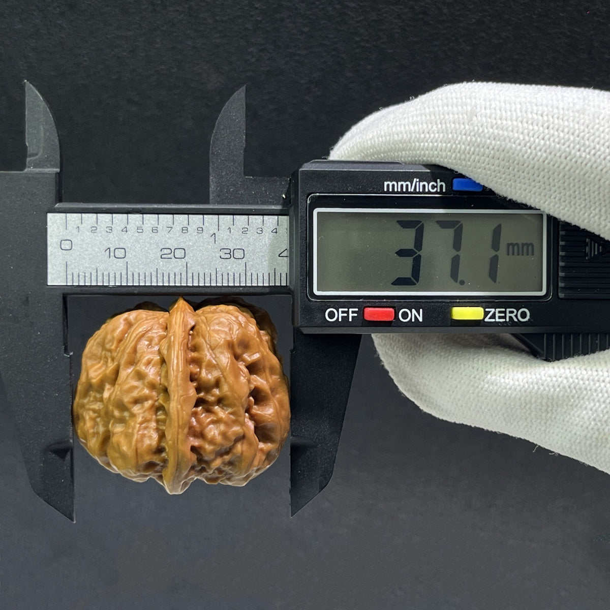 The "Toad Head" (Ha Ma Tou) Pair | 37.0mm x 39.0mm | HMT-406 - ThePatinaProject