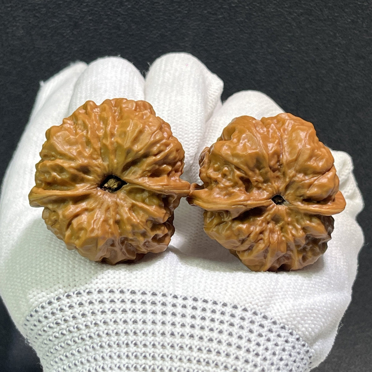 The "Toad Head" (Ha Ma Tou) Pair | 37.0mm x 39.0mm | HMT-406 - ThePatinaProject
