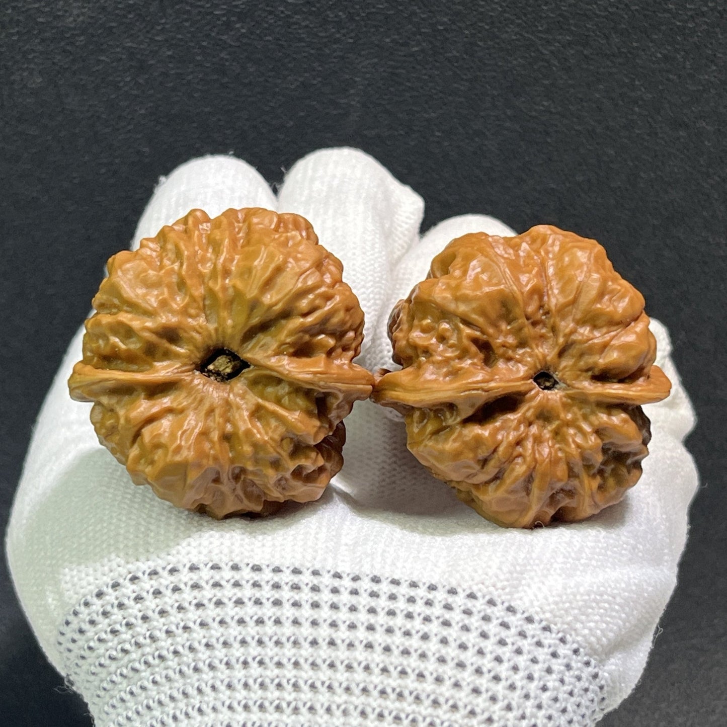 The "Toad Head" (Ha Ma Tou) Pair | 37.0mm x 39.0mm | HMT-406 - ThePatinaProject