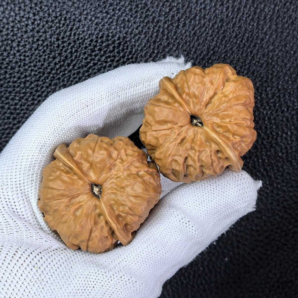 The "Toad Head" (Ha Ma Tou) Pair | 38.0mm x 38.0mm | HMT-007 - ThePatinaProject
