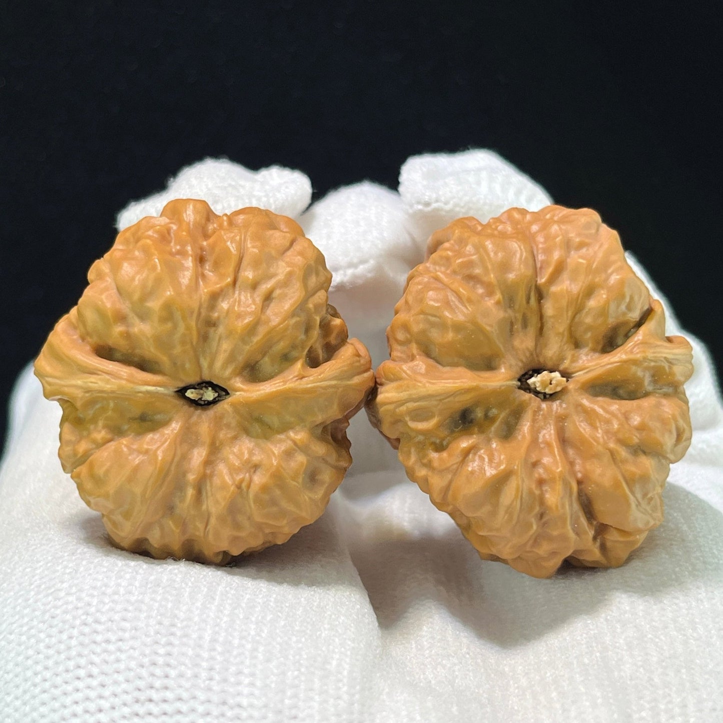 The "Toad Head" (Ha Ma Tou) Premium Deep-Belly Pair | 34.0mm x 38.0mm | W-1008 - ThePatinaProject