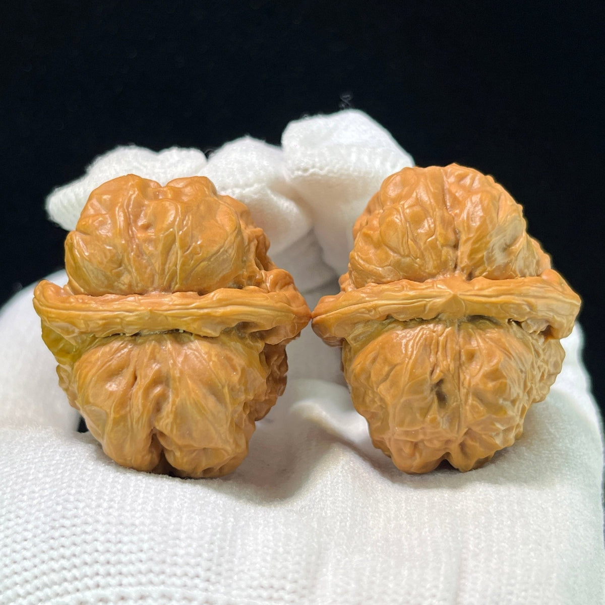 The "Toad Head" (Ha Ma Tou) Premium Deep-Belly Pair | 34.0mm x 38.0mm | W-1008 - ThePatinaProject