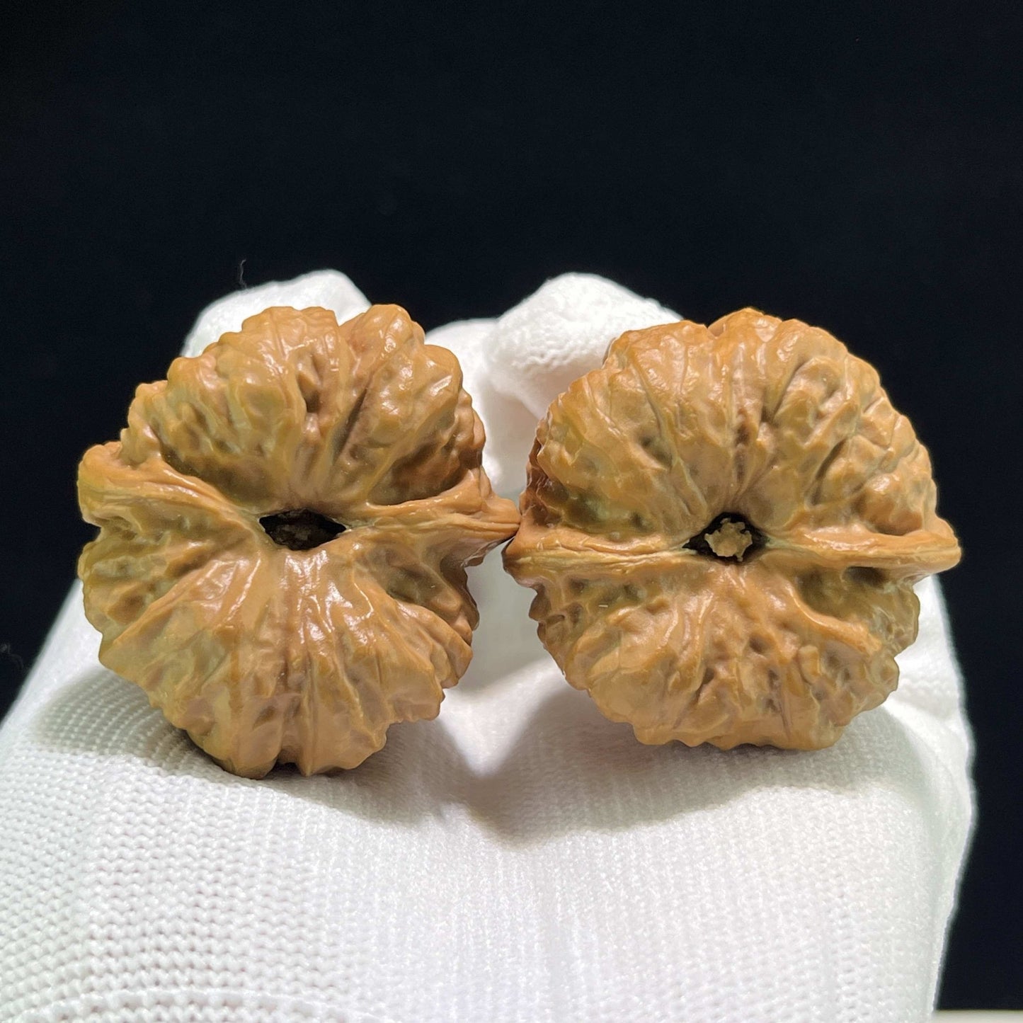 The "Toad Head" (Ha Ma Tou) Robust Balanced Pair | 38.0mm x 37.0mm | HMT-901 - ThePatinaProject