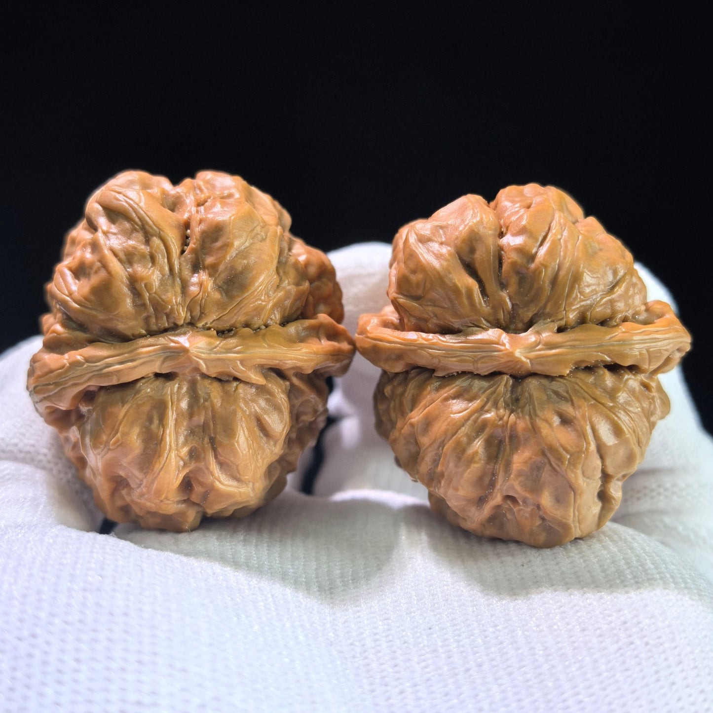 The "Toad Head" (Hamatou) Matched Pair | 41.0mm x 38.0mm | HMT-1201C - ThePatinaProject