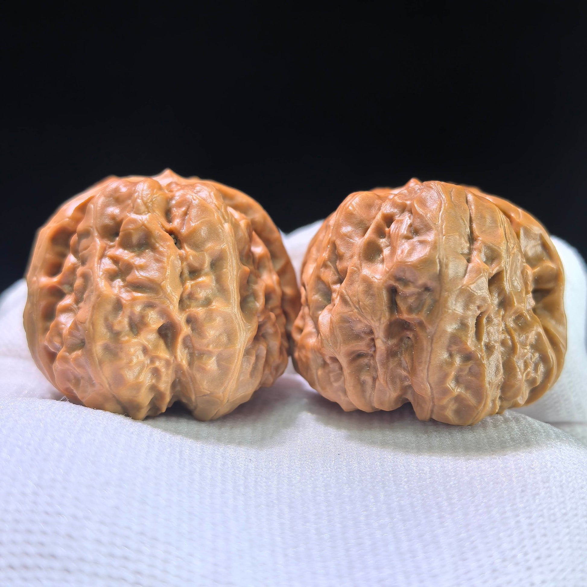 The "Toad Head" (Hamatou) Matched Pair | 41.0mm x 38.0mm | HMT-1201C - ThePatinaProject