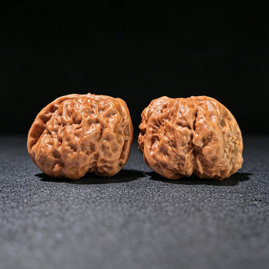 The "Toad Head" Smooth Sailing Matched Pair | 41.0mm x 39.0mm | HMTYF-1201E - ThePatinaProject