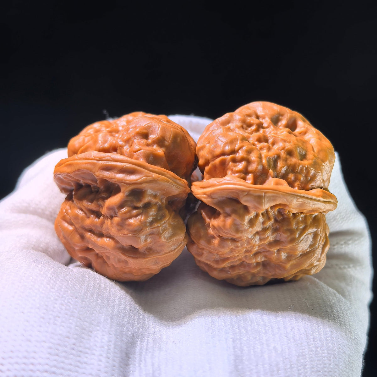 The "Toad Head" Smooth Sailing Matched Pair | 41.0mm x 39.0mm | HMTYF-1201E - ThePatinaProject