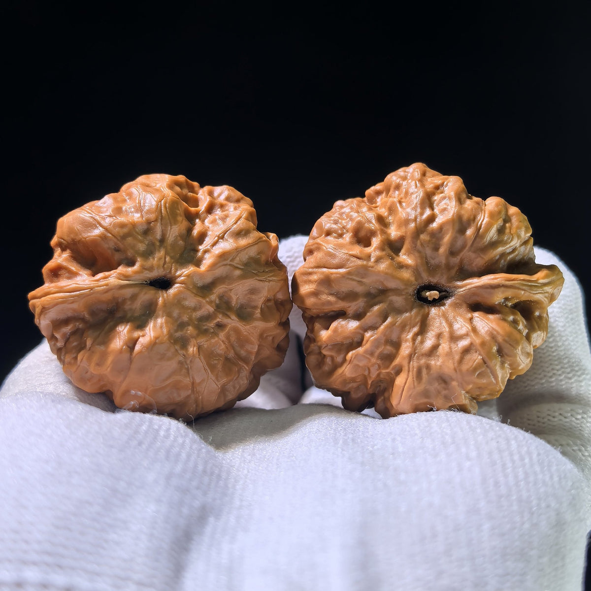 The "Toad Head" Smooth Sailing Matched Pair | 41.0mm x 39.0mm | HMTYF-1201E - ThePatinaProject