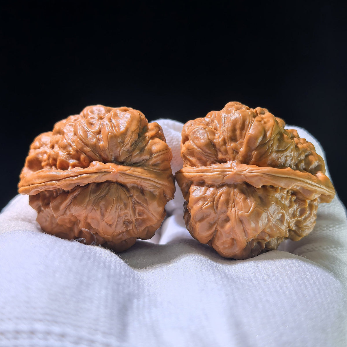 The "Toad Head" Smooth Sailing Matched Pair | 41.0mm x 39.0mm | HMTYF-1201E - ThePatinaProject