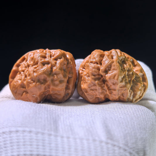 The "Toad Head" Smooth Sailing Matched Pair | 41.0mm x 39.0mm | HMTYF-1201E - ThePatinaProject