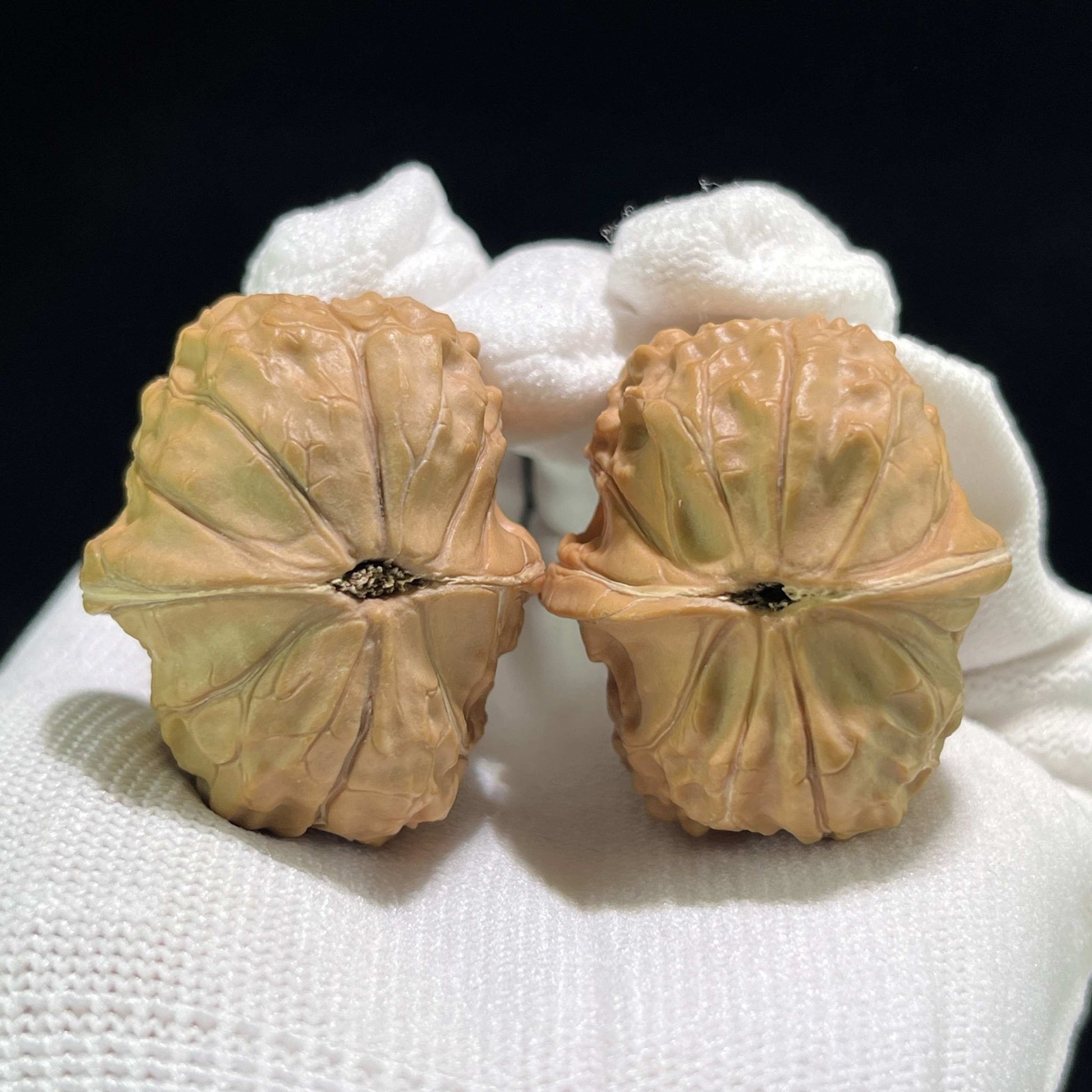 The "Tortoise Shell" (Gui Jia Wen) Full-Bellied Pocket Pair | 32.0mm x 37.0mm | GUI-801 - ThePatinaProject