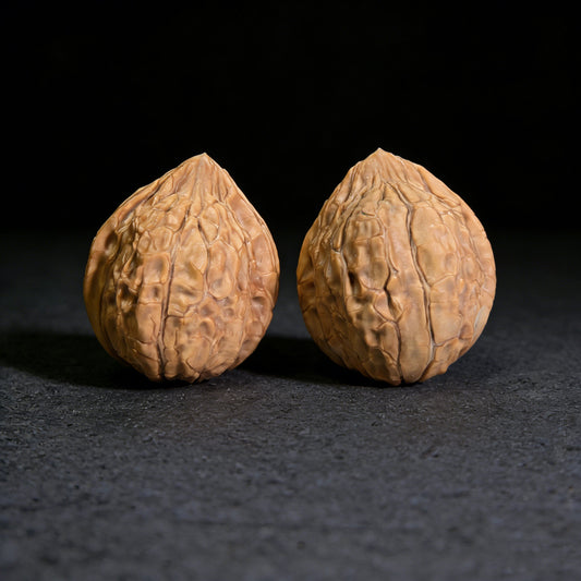 The "Tortoiseshell Pattern" (Gui Jia Wen) Pair | 33.0mm x 38.0mm | GJW-301 - ThePatinaProject