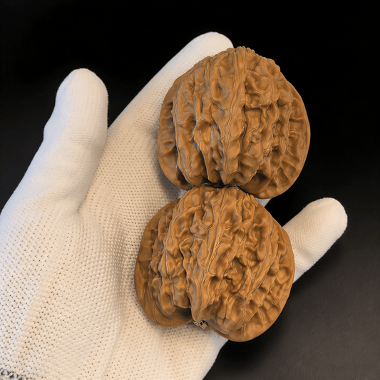 The "Treasure Basin" Snake Head – 41mm Rare Wealth Edition | SH-30 (Actual Item Pictured) - ThePatinaProject