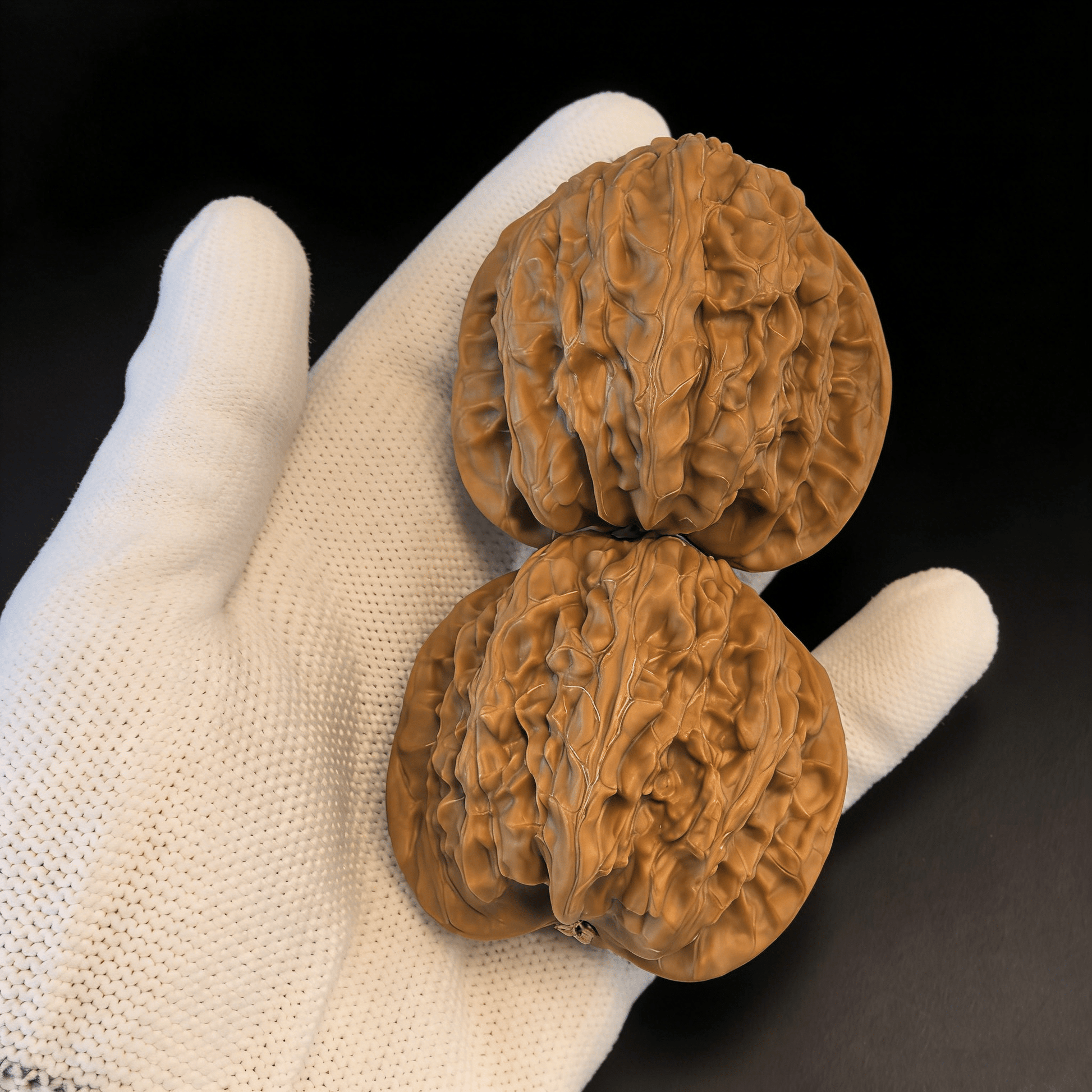 The "Treasure Basin" Snake Head – 41mm Rare Wealth Edition | SH-30 (Actual Item Pictured) - ThePatinaProject