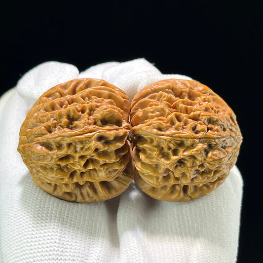 The "Tri-Edge Blizzard" (San Jiao Bao Xue) Ultra-Rare Collector's Giant | 41.0mm x 42.0mm | BX-803 - ThePatinaProject