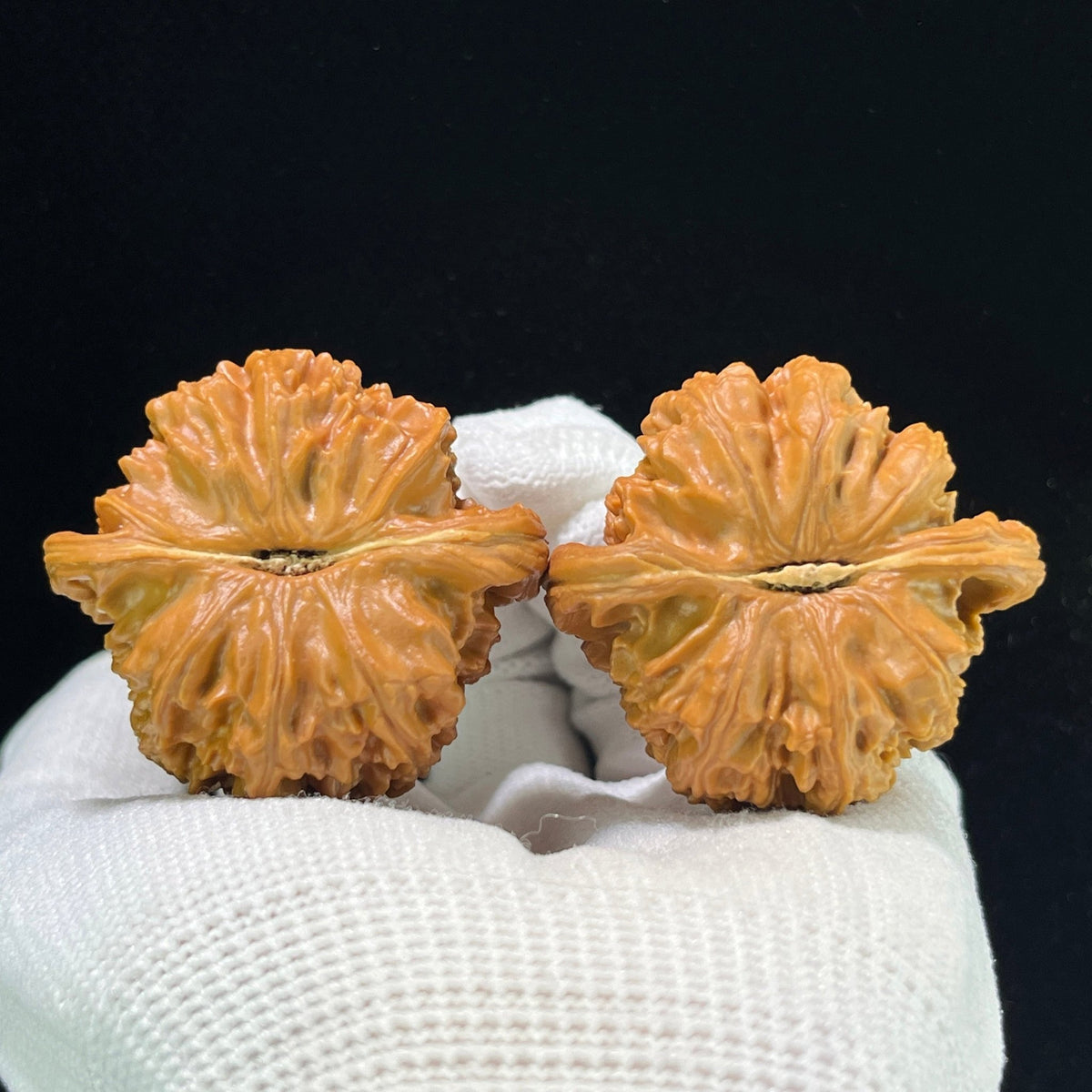 The "Triangel White Lion" (San Jiao Bai Shi Zi) Rare Mutation Pair | 43.0mm x 40.0mm | Classic Low-Profile Format | SJBSZ-1001 - ThePatinaProject