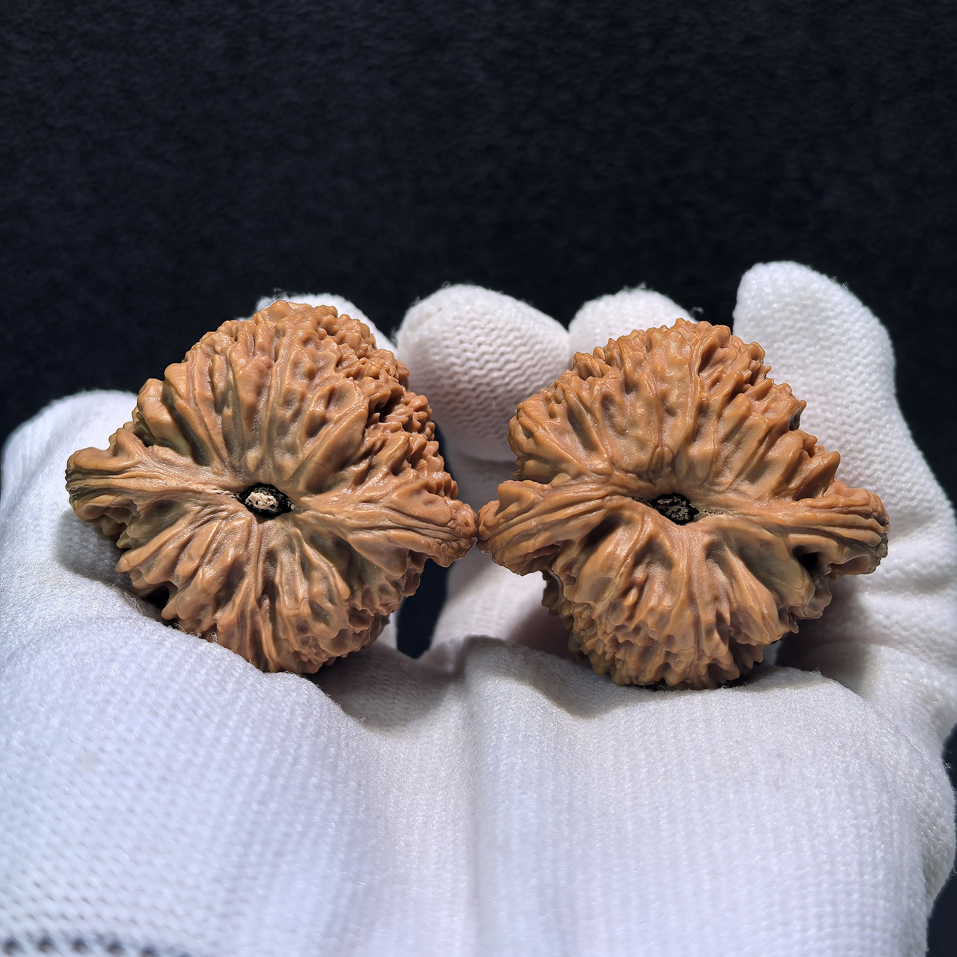 The "Triangle Nan Jiang Shi" Pair | 39.0mm x 37.0mm | NJS-409 - ThePatinaProject