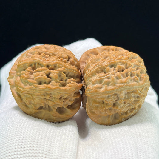 The "Triangle White Lion" (San Jiao Bai Shi Zi) Rare Mutation Pair | 37.0mm x 35.0mm | Compact Shou Nian Format | SJBSZ-1002 - ThePatinaProject