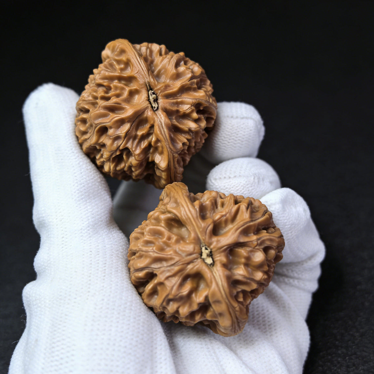 The "Water Dragon Pattern" (Shui Long Wen) Pair | Collector Grade | 42.0mm x 44.0mm | SLW-401C - ThePatinaProject