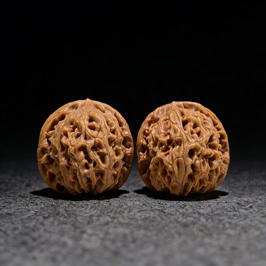 The "Water Dragon" (Shui Long Wen) Pair | 42.0mm x 43.0mm | Boutique Grade | SLW-802C - ThePatinaProject