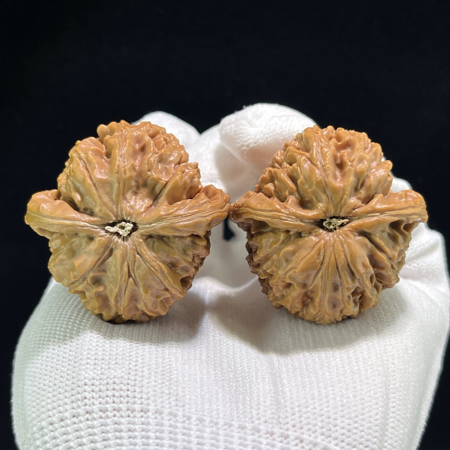 The "Water Dragon Vein" (Shui Long Wen) Balanced Robust Pair | 39.0mm x 39.0mm | SLW-801 - ThePatinaProject