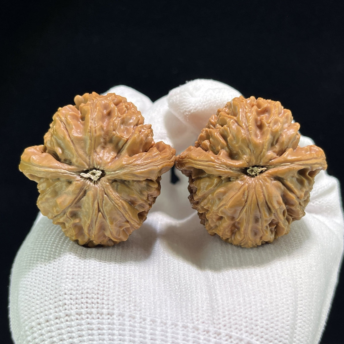 The "Water Dragon Vein" (Shui Long Wen) Balanced Robust Pair | 39.0mm x 39.0mm | SLW-801 - ThePatinaProject