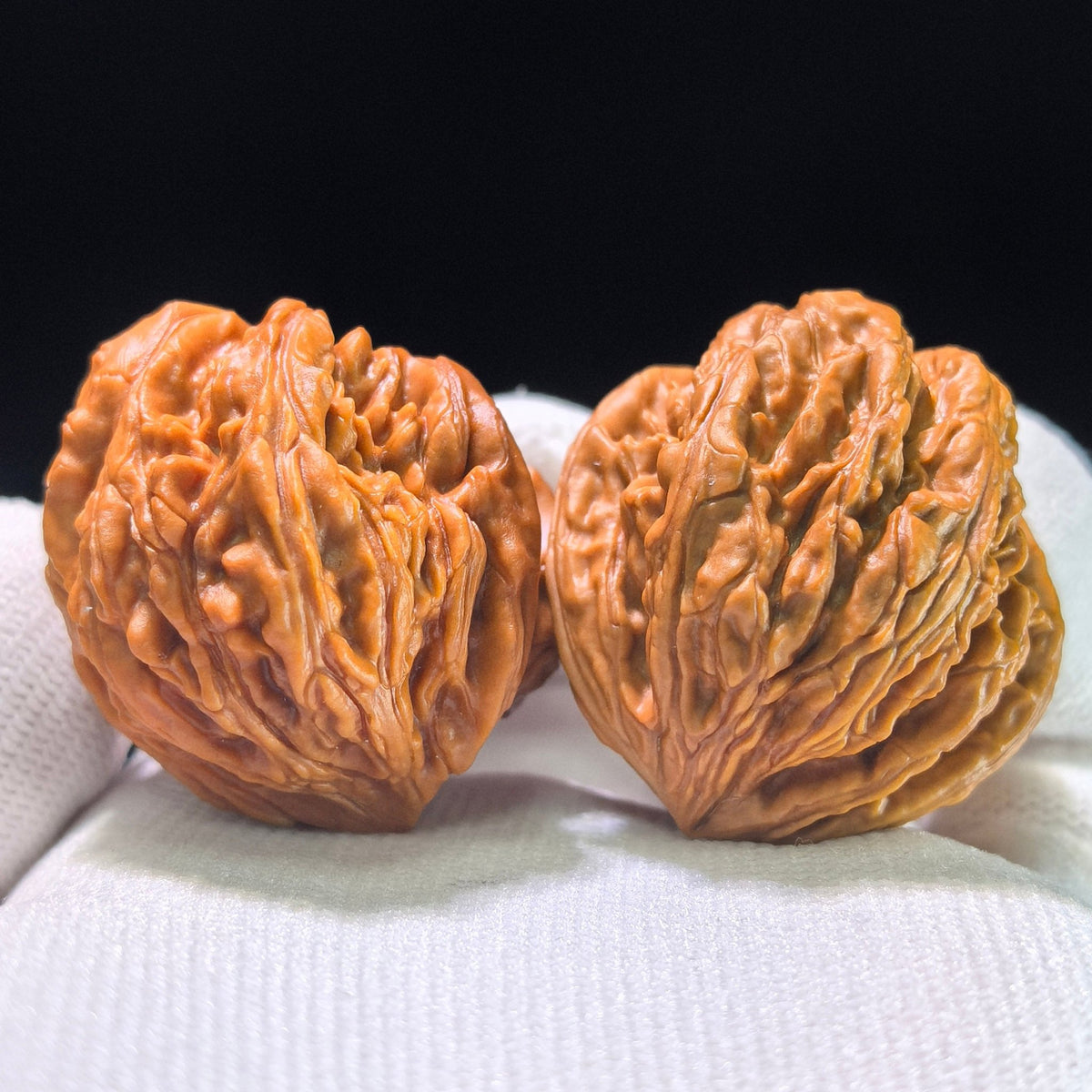 The "Wenshan x Jade Dragon" (WSYL) Thick-Veined Snakeskin EDC | "Angry Bird" Deep Belly | Investment Grade | WSYL-1301E - ThePatinaProject