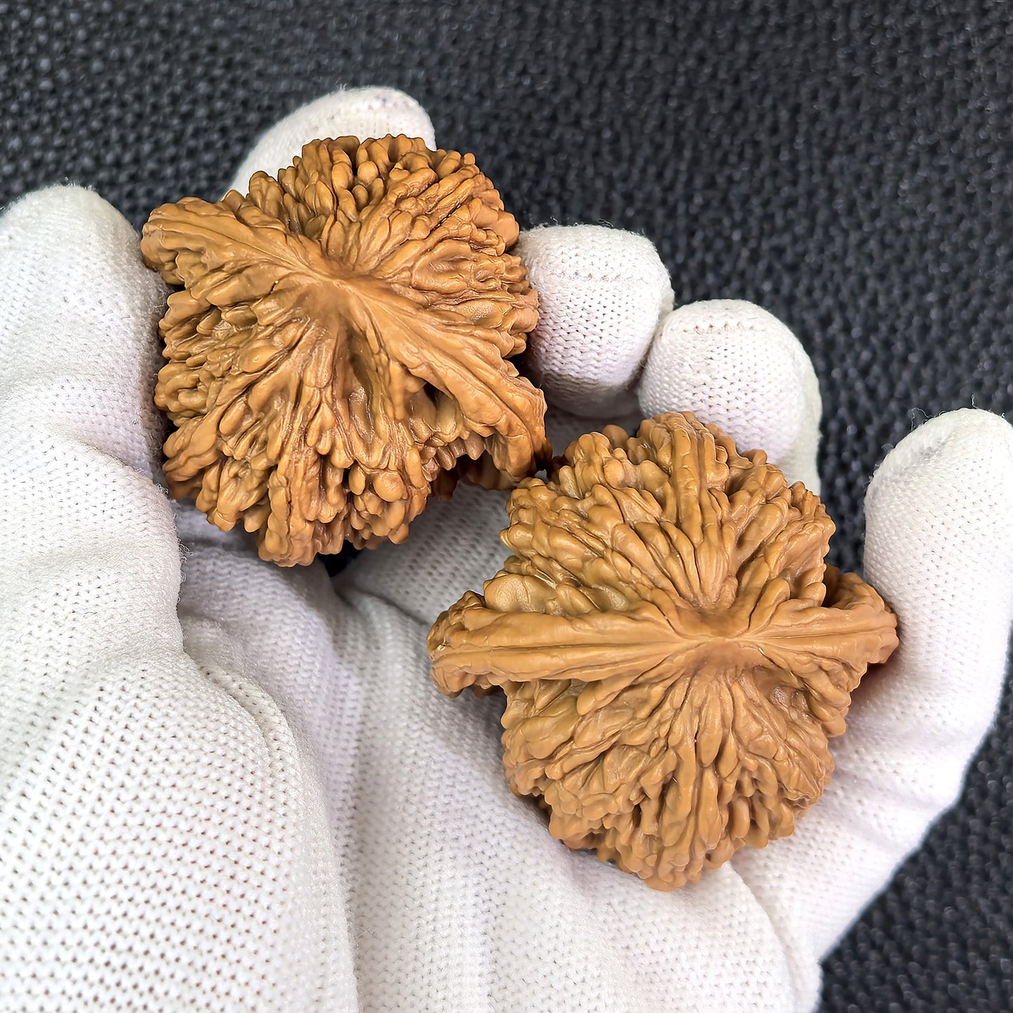 The "Wheat Ear Liger" (Mai Sui Shi Hu Shou) Pair | 47.0mm x 44.0mm | MSSHS-301 - ThePatinaProject