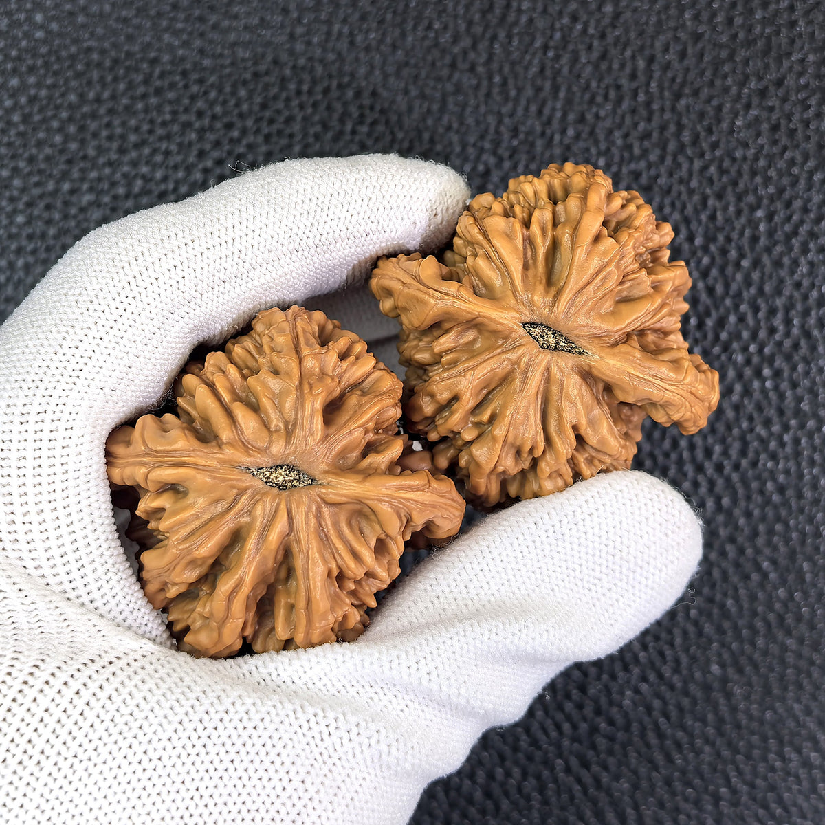 The "Wheat Ear Liger" (Mai Sui Shi Hu Shou) Pair | 47.0mm x 44.0mm | MSSHS-301 - ThePatinaProject