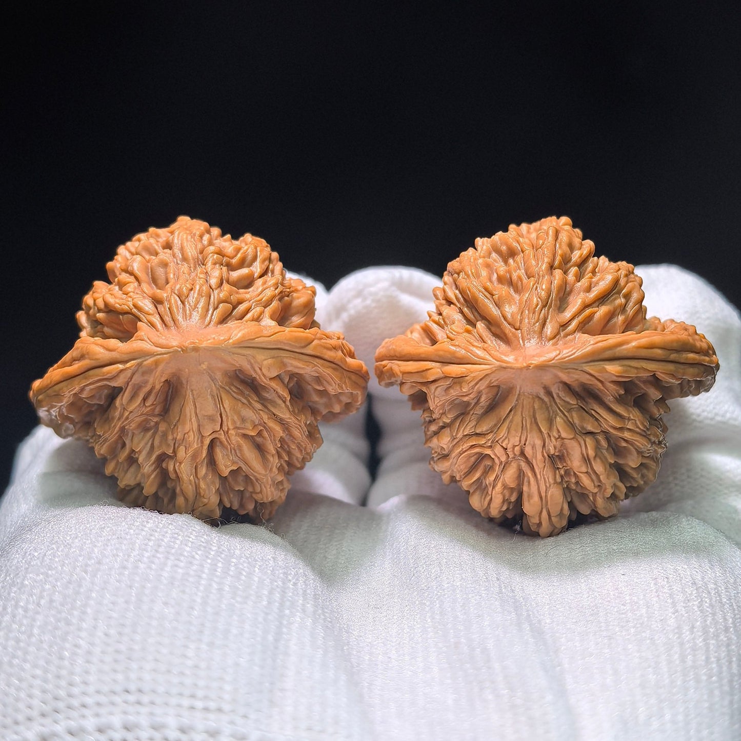 The "Wheat Ear Tiger Head" (Mai Sui Hu Tou) Classic Symmetrical Pair | 41.0mm x 39.0mm | MSHT-1401 - ThePatinaProject