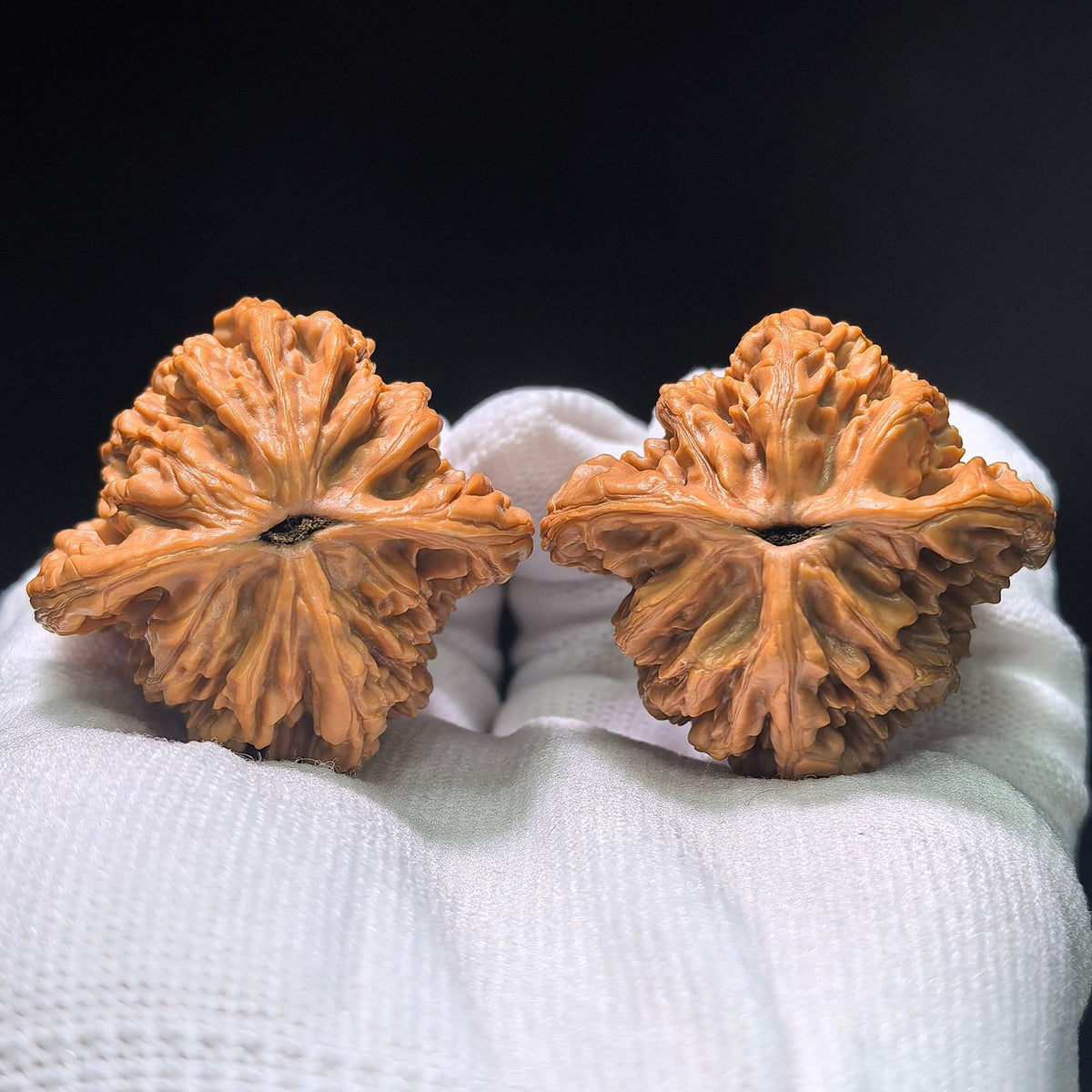 The "Wheat Ear Tiger Head" (Mai Sui Hu Tou) Classic Symmetrical Pair | 41.0mm x 39.0mm | MSHT-1401 - ThePatinaProject
