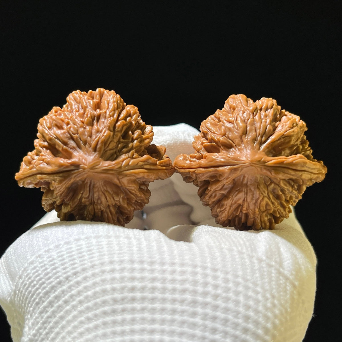 The "Wheat Ear Tiger Head" (Mai Sui Hu Tou) Ergonomic Giant | 42.0mm x 40.0mm | MSHT-1202C - ThePatinaProject