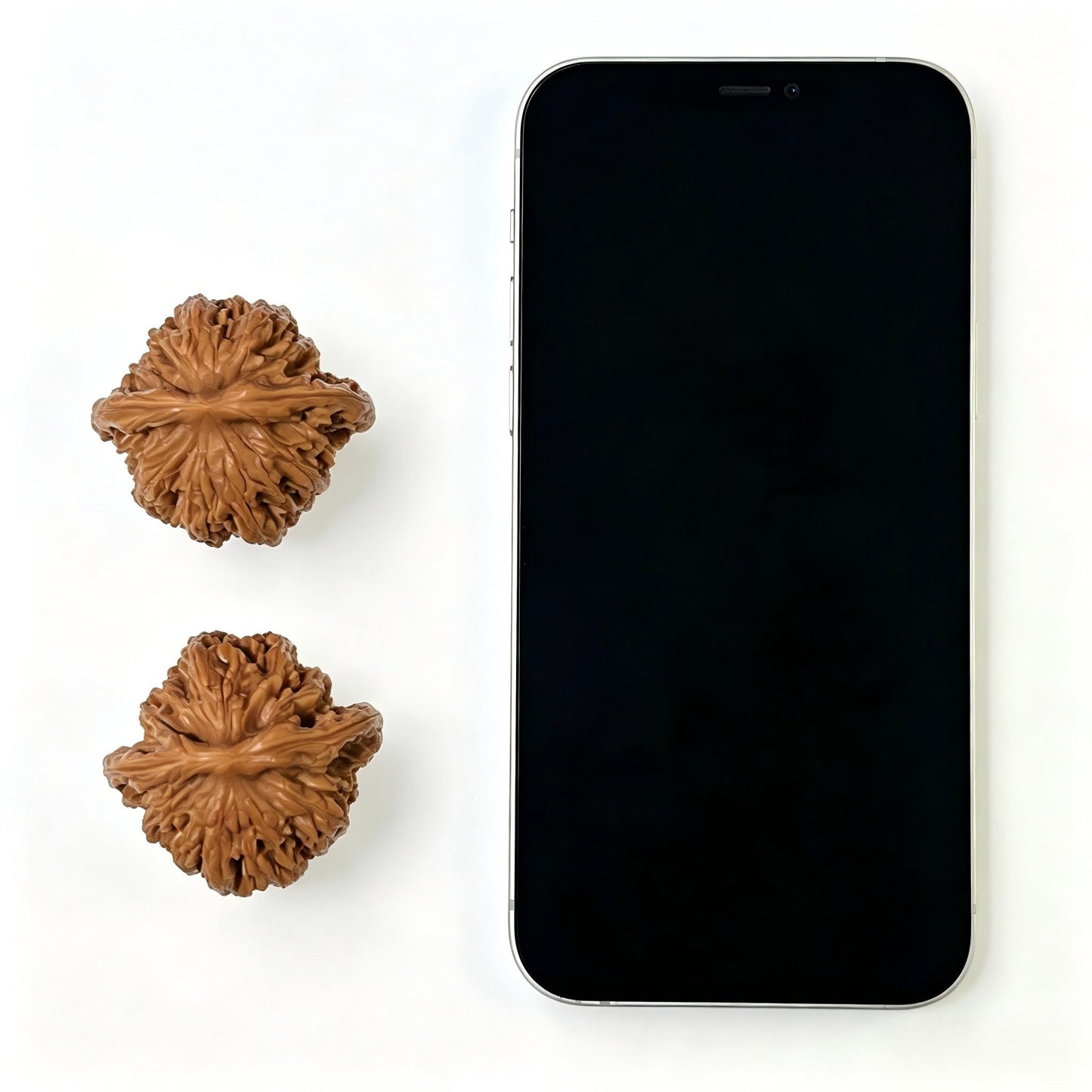 The "Wheat Ear Tiger Head" (Mai Sui Hu Tou) Ergonomic Giant | 42.0mm x 40.0mm | MSHT-1202C - ThePatinaProject