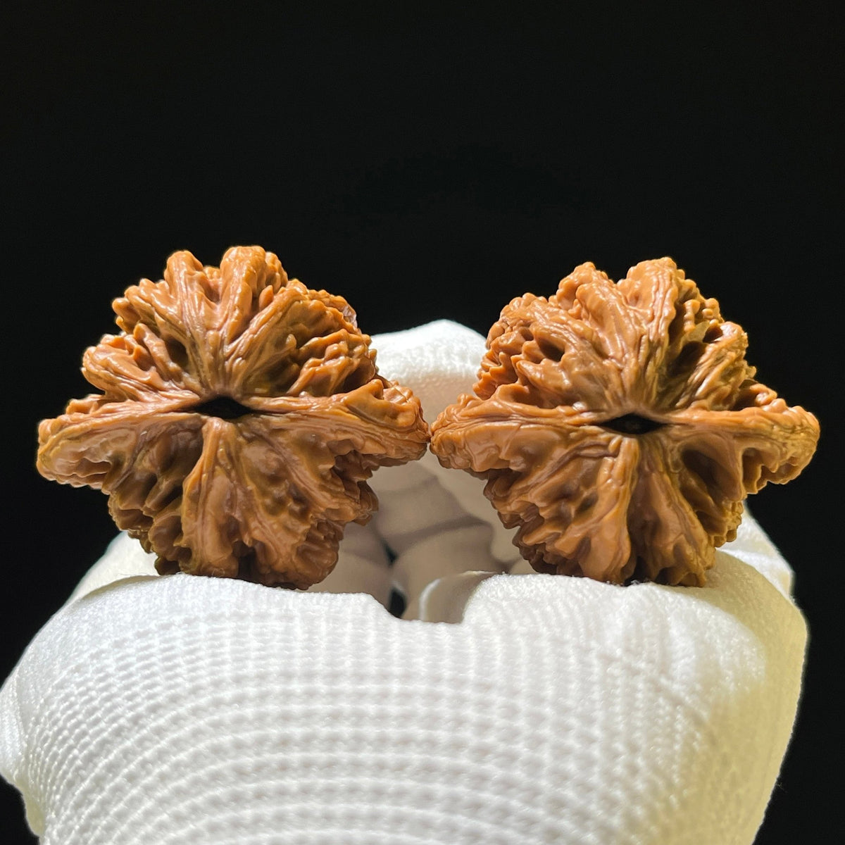 The "Wheat Ear Tiger Head" (Mai Sui Hu Tou) Ergonomic Giant | 42.0mm x 40.0mm | MSHT-1202C - ThePatinaProject