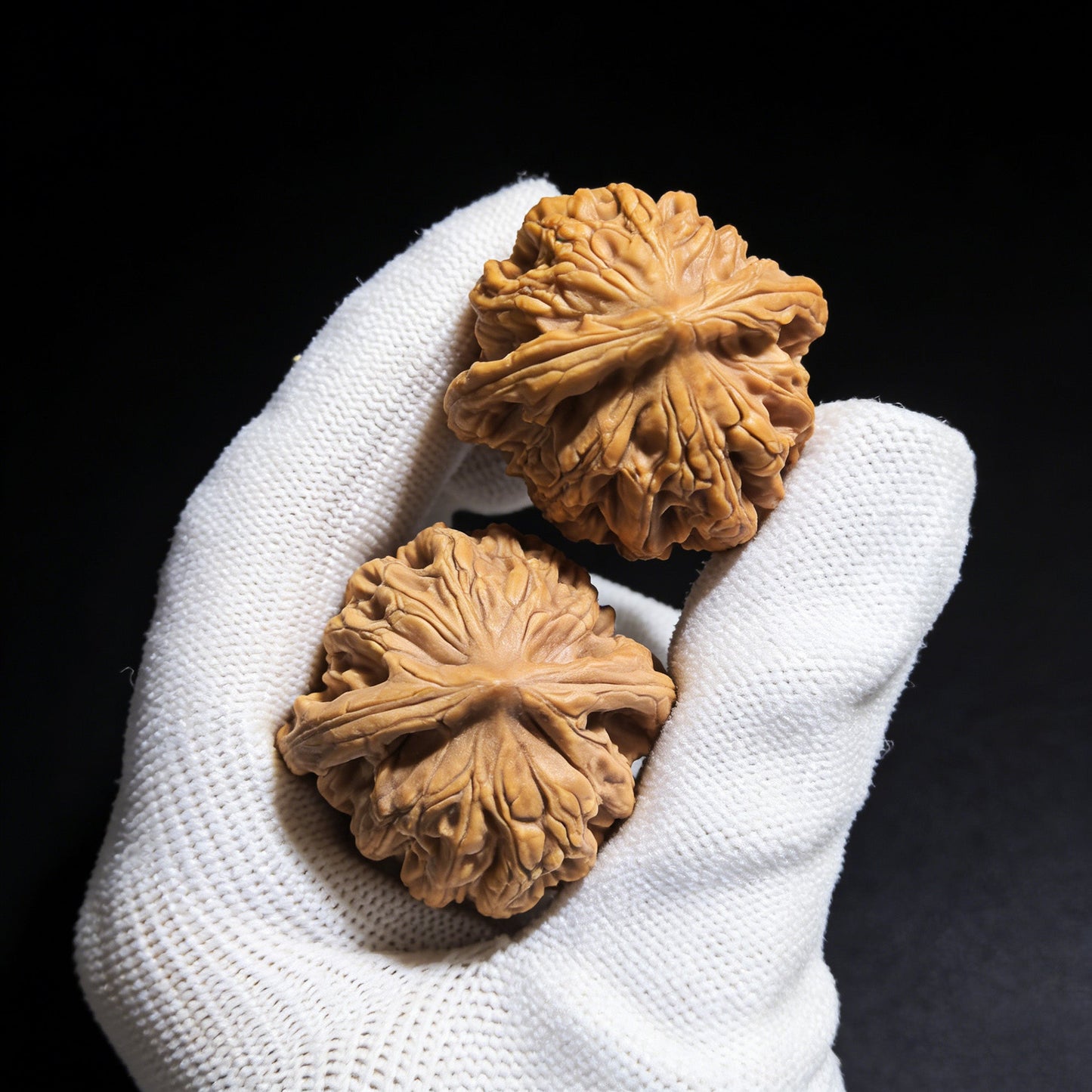 The "Wheat Ear Tiger Head" (Mai Sui Hu Tou) Pair | 35.0mm x 35.0mm | MSHT-01 - ThePatinaProject