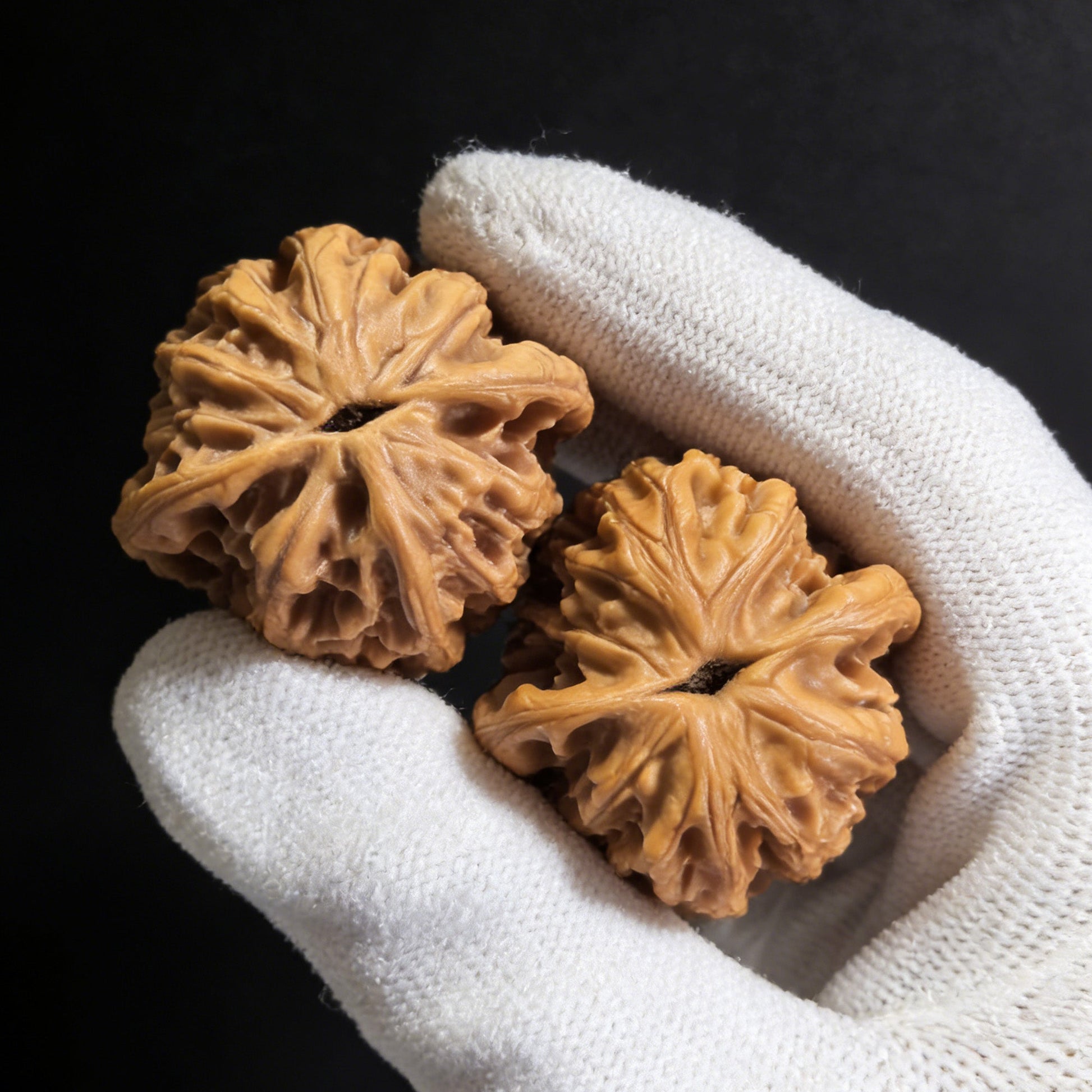 The "Wheat Ear Tiger Head" (Mai Sui Hu Tou) Pair | 35.0mm x 35.0mm | MSHT-01 - ThePatinaProject