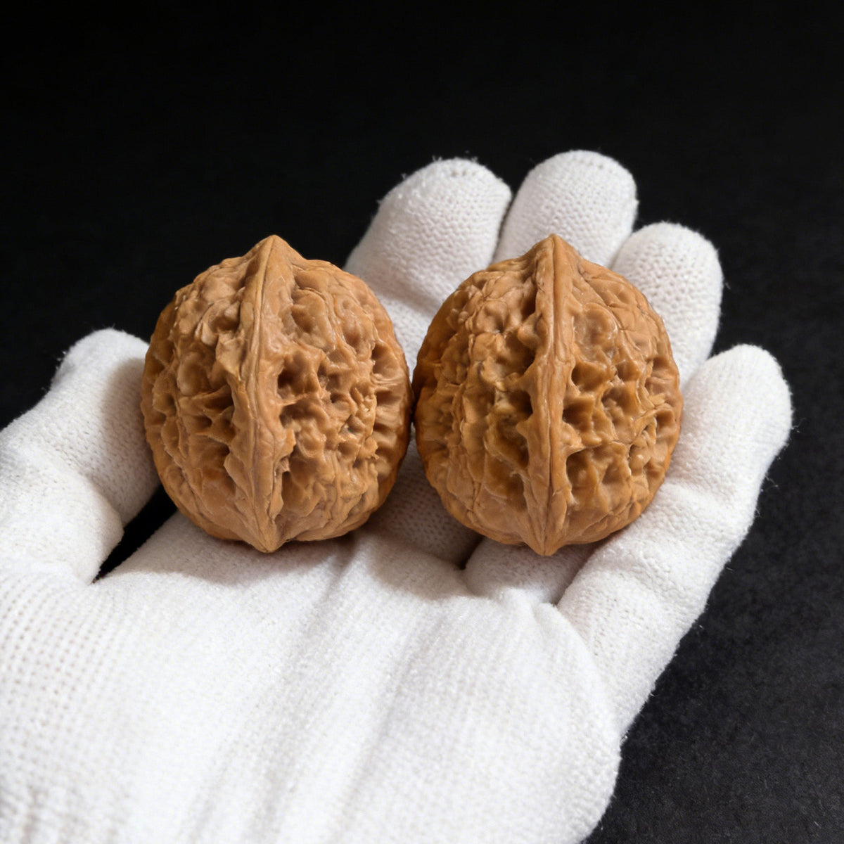 The "Wheat Ear Tiger Head" (Mai Sui Hu Tou) Pair | 35.0mm x 35.0mm | MSHT-01 - ThePatinaProject