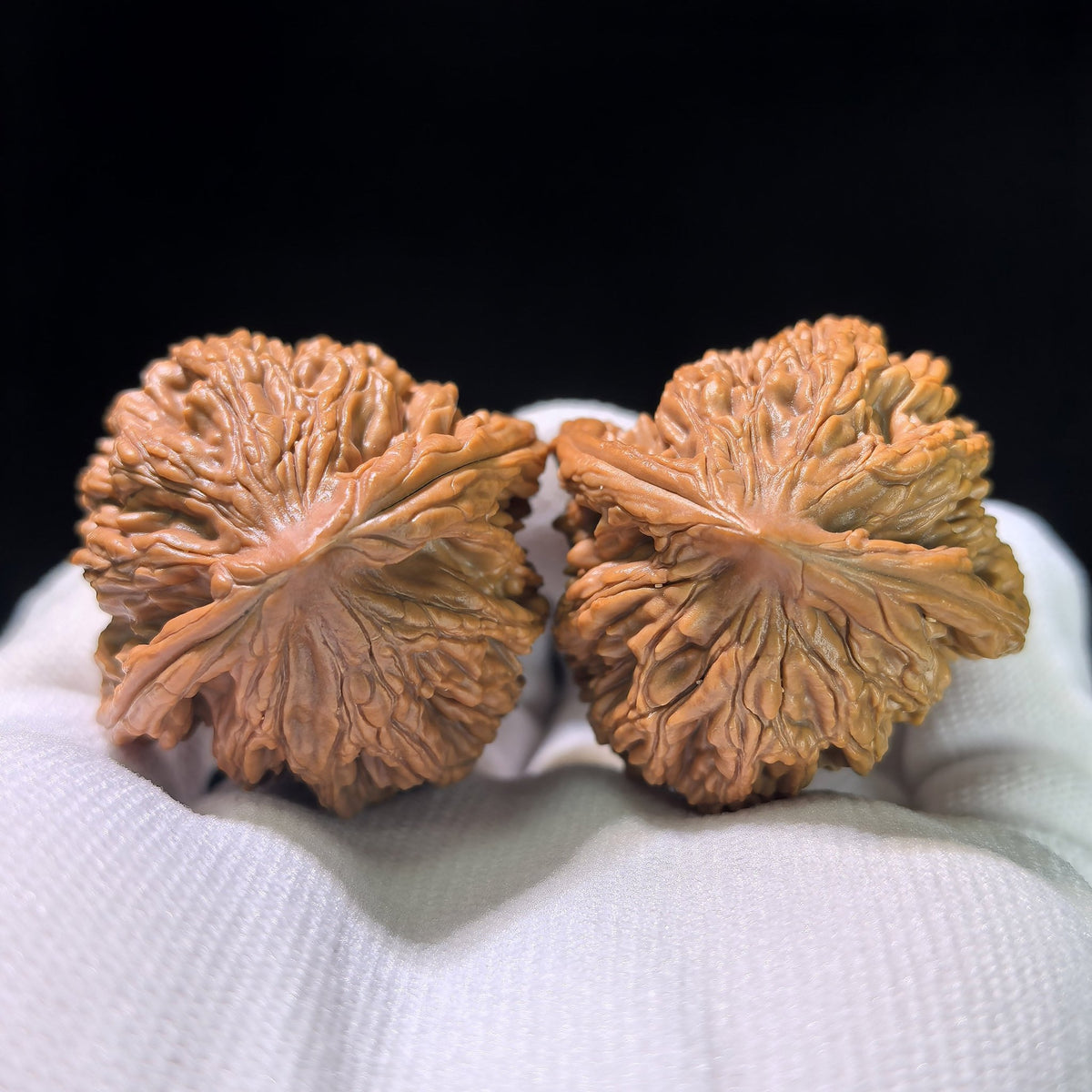 The "Wheat Ear" Tiger Head (Maisui Hutou) Matched Pair | 39.0mm x 38.0mm | MSHT-1203C - ThePatinaProject