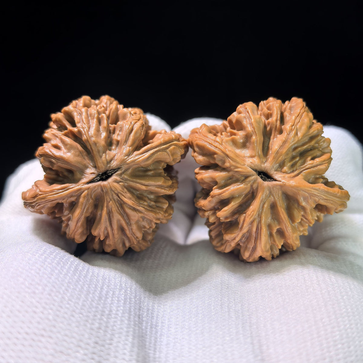 The "Wheat Ear" Tiger Head (Maisui Hutou) Matched Pair | 39.0mm x 38.0mm | MSHT-1203C - ThePatinaProject